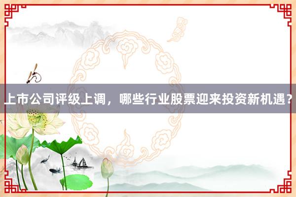 上市公司评级上调，哪些行业股票迎来投资新机遇？